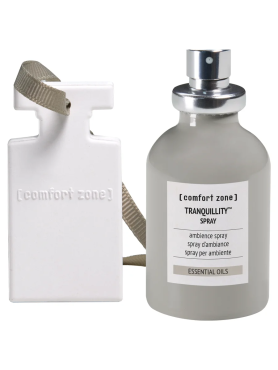 Спрей-ароматизатор + керамическая пластина для нанесения