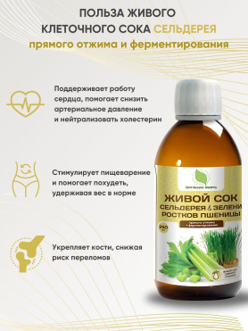 Живой сок сельдерея и зелени ростков пшеницы прямого отжима + ферментирования