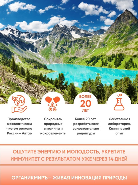 ОРГАНИК МИРЪ Настойка Китайского природного Кордицепса  100 мл фото 7