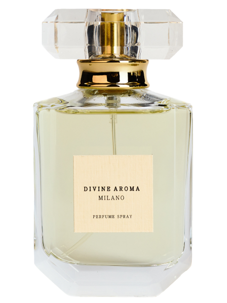 Divine Aroma Парфюмированный спрей «Милан» Аромат: Древесный, пряный 50 мл
