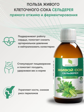 Живой сок сельдерея прямого отжима + ферментирования