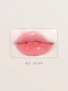 Глянцевый тинт для губ BBIA Глянцевый тинт для губ Glow Lip Tint – 22 Blush 3.2 гр фото 1