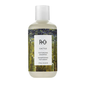 Текстурирующий шампунь «Кактус» R+Co Cactus Texturizing Shampoo - купить 3 190 ₽ 