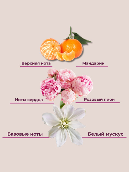 Jmella Парфюмированный шампунь для всех типов волос In France Blooming Peony Hair Shampoo 500 мл фото 1