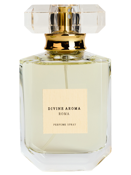 Divine Aroma Парфюмированный спрей «Рим» Аромат: фруктовый, цветочный, мятный 50 мл