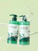 Round Lab Успокаивающий шампунь для волос с экстрактами сосны и центеллы Pine Calming Cica Shampoo 400 мл фото 1