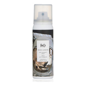 Спрей для защиты от влаги «Прилунение» R+Co Moon Landing Anti-Humidity Spray - купить 2 090 ₽ 