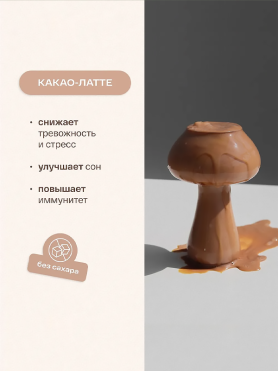 Какао-латте с грибами рейши и специями re-feel Cacao Latte - купить 590 ₽ 