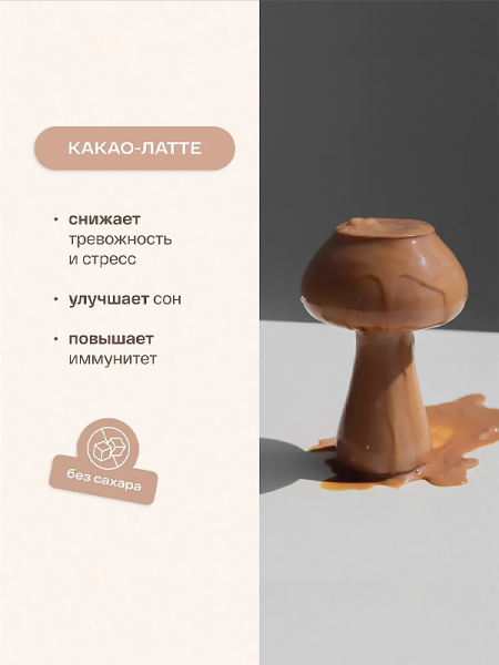 re-feel Какао-латте с грибами рейши и специями Cacao Latte 3 шт фото 2