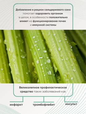 Живой сок сельдерея и капусты брокколи прямого отжима + ферментирования