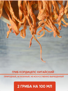 Настойка Китайского природного Кордицепса