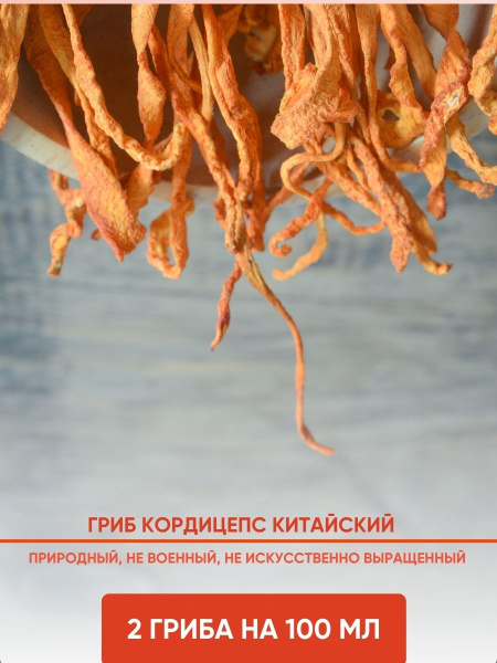 ОРГАНИК МИРЪ Настойка Китайского природного Кордицепса  100 мл фото 3