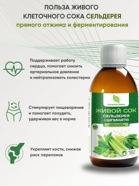 Живой сок сельдерея и шпината прямого отжима + ферментирования