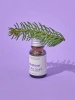somelove Подарочный набор: гель для душа + эфирное масло + аромалампа Smells Like Holidays 250+10 мл фото 3