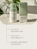 Vely Vely Энзимная пудра с зеленым чаем и липазой Enzyme Green Tea Powder Cleanser 60 гр фото 2