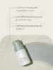 Vely Vely Энзимная пудра с зеленым чаем и липазой Enzyme Green Tea Powder Cleanser 60 гр фото 1