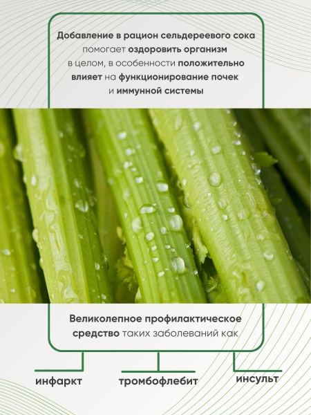 ОРГАНИК МИРЪ Живой сок сельдерея и шпината прямого отжима + ферментирования  250 мл фото 6