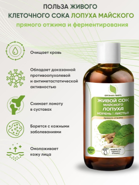 Живой клеточный сок корней и листьев Лопуха майского прямого отжима