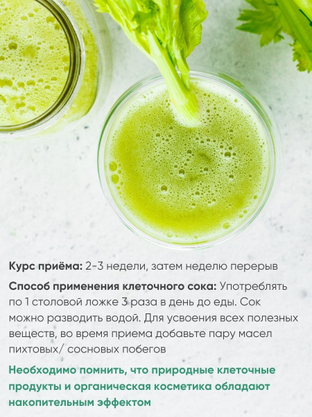 ОРГАНИК МИРЪ Живой сок сельдерея прямого отжима + ферментирования  250 мл фото 5